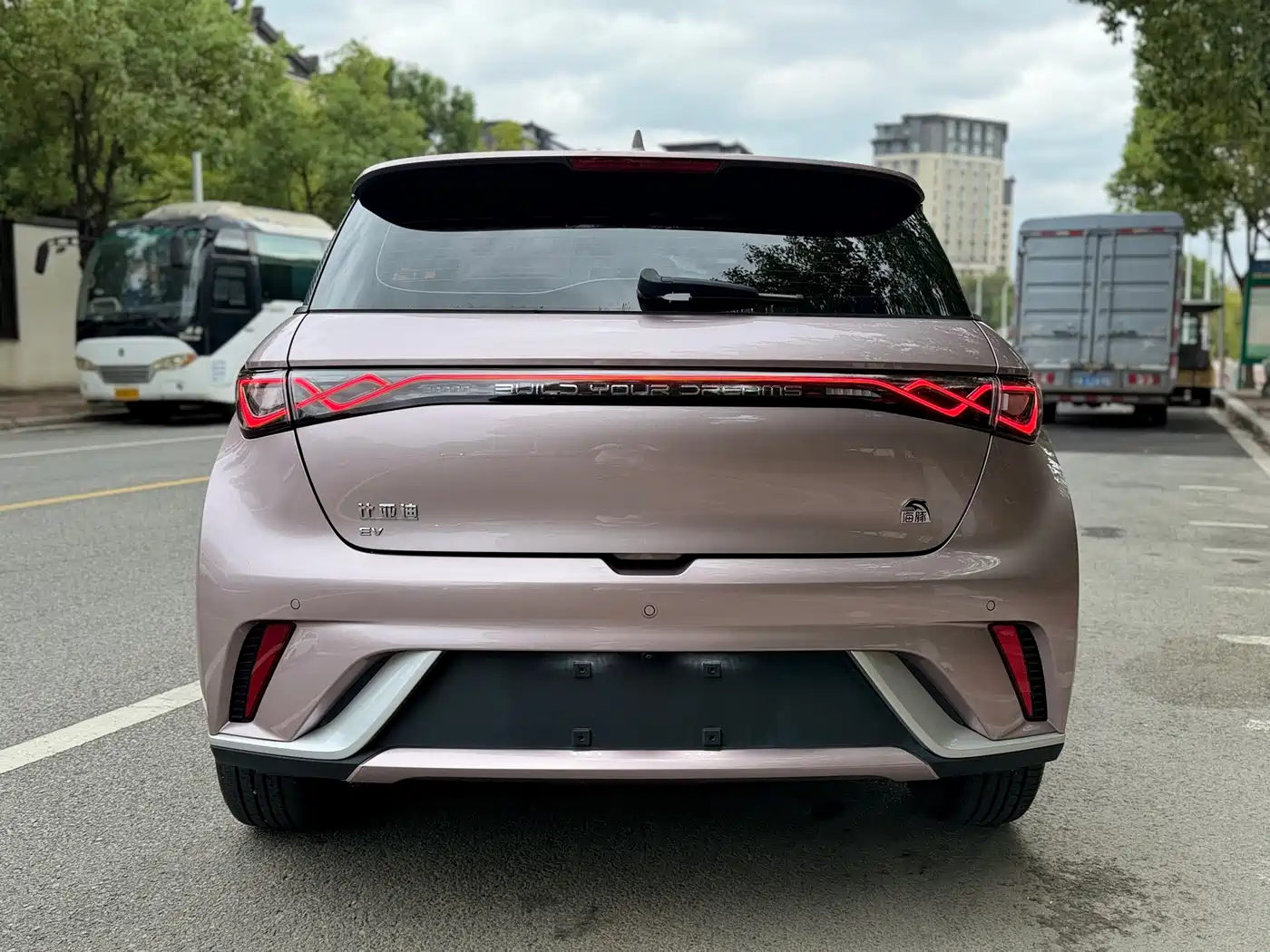 BYD Dolphin 2023 420km Fashion Edition фото 4