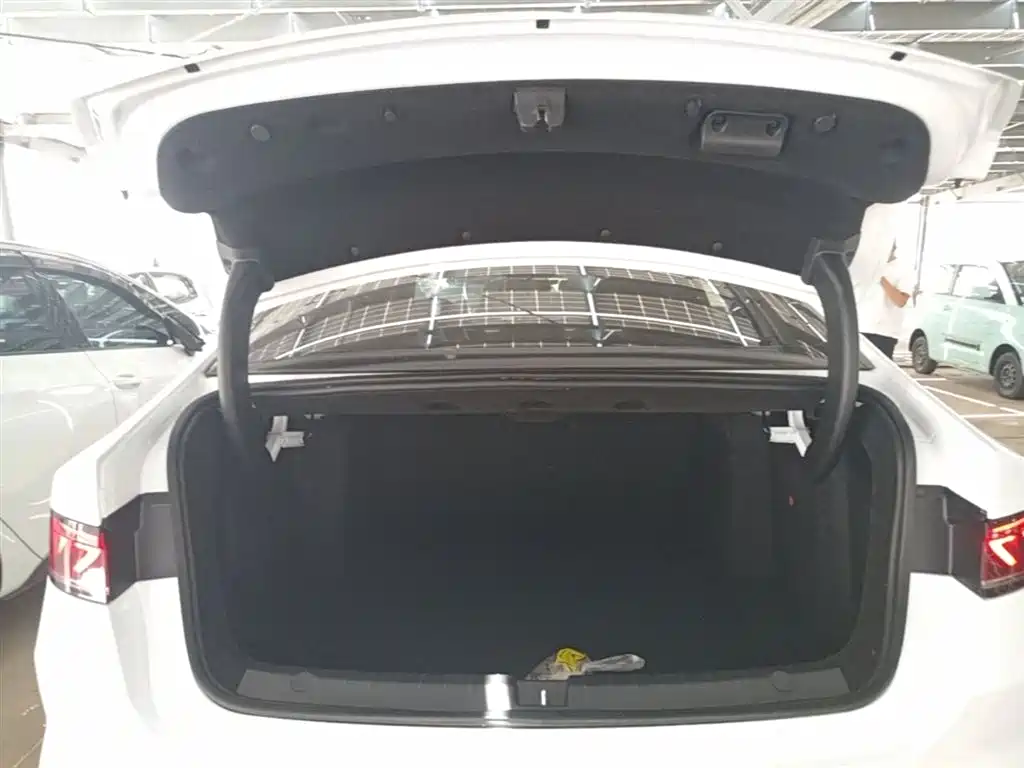BYD Qin PLUS 2024 Glory Edition EV 510KM Leading фото 19