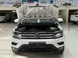 Фото 7 - Volkswagen Tharu