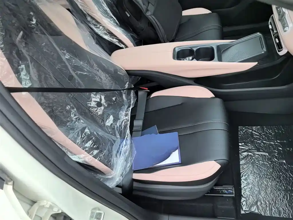 BYD Seagull 2025 Smart Drive Edition 305km Vitality Version фото 25