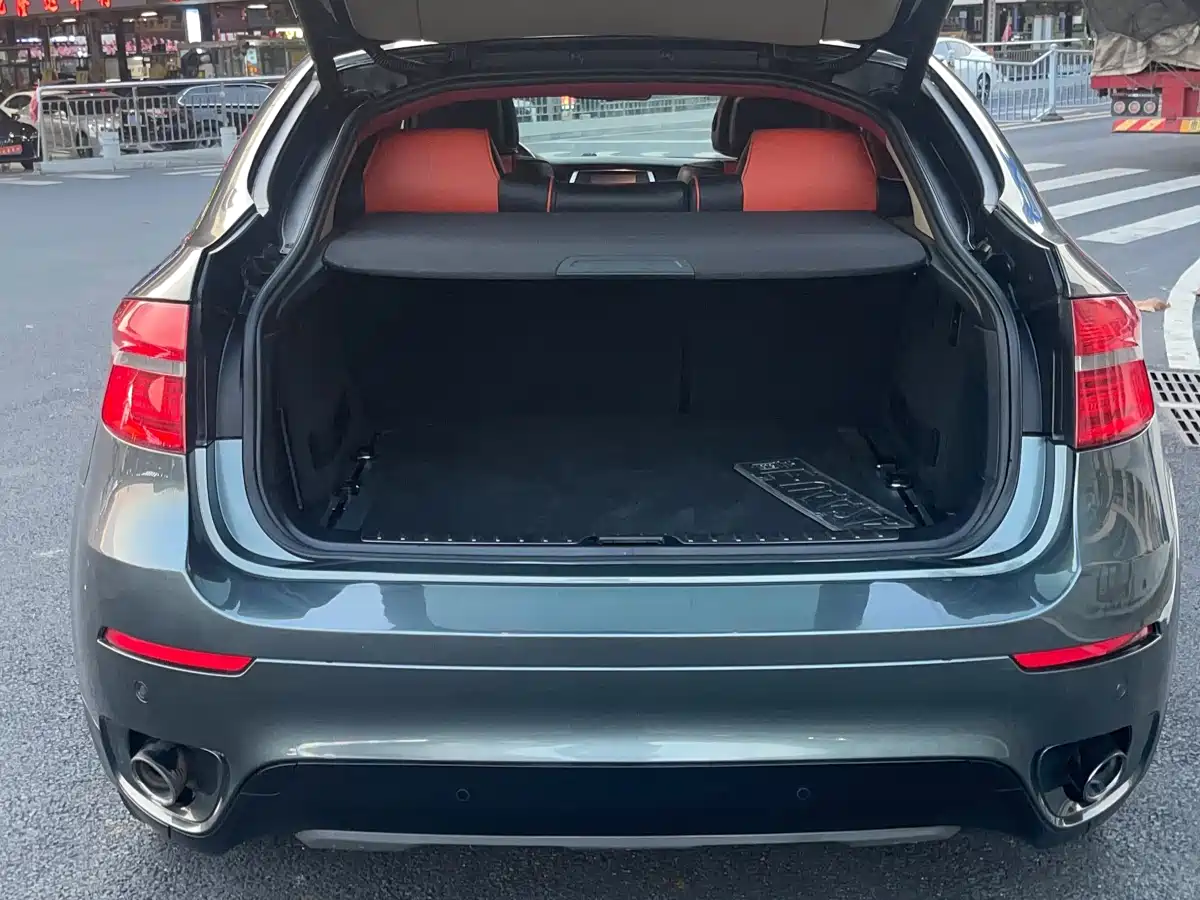 BMW X6 2009 xDrive35i фото 8