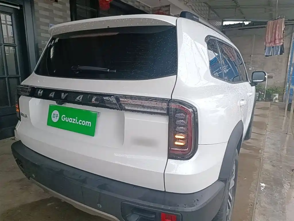 Haval Big Dog 2021 1.5T DCT 2WD Border Collie Edition фото 7