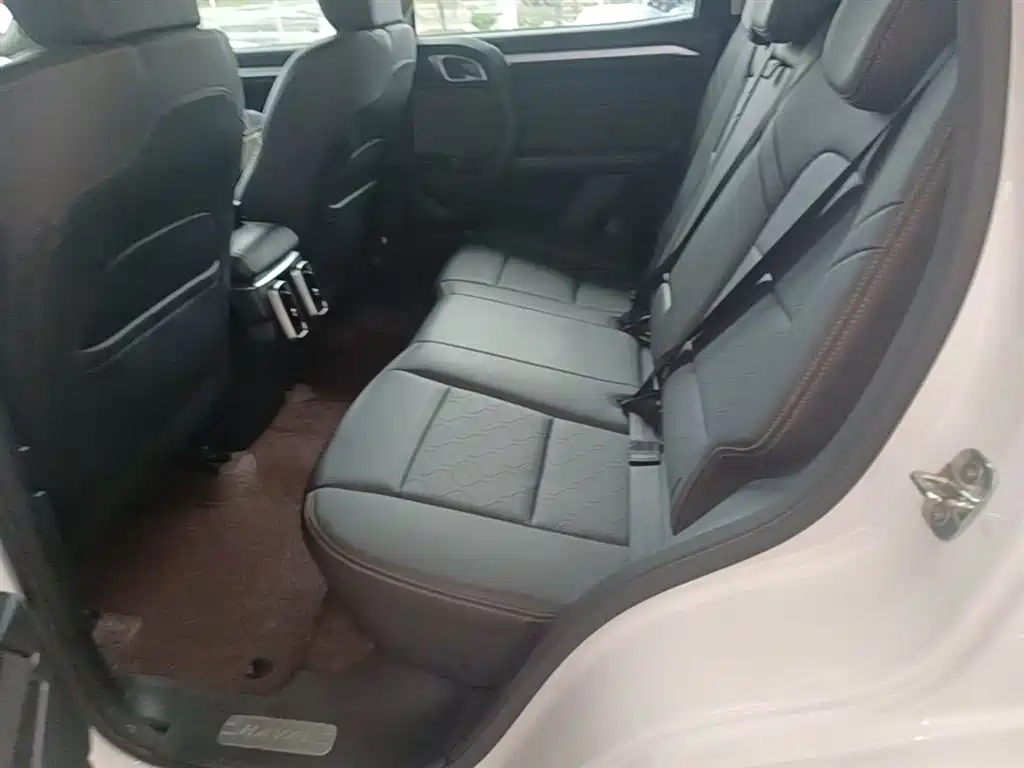 Haval Big Dog 2021 1.5T DCT 2WD Border Collie Edition фото 17