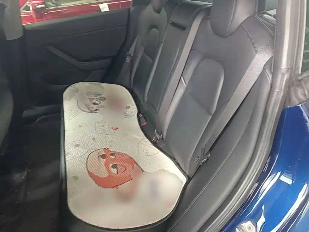 Tesla Model 3 (Import) 2019 2019 Long Range RWD Version