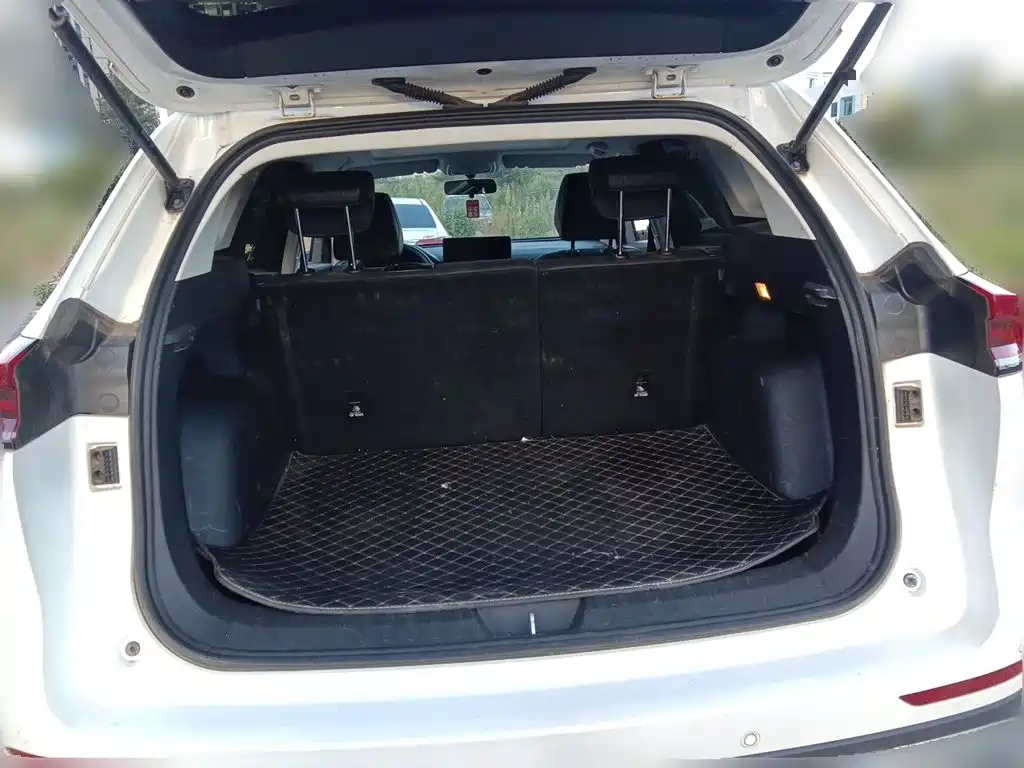 Haval H6 2025 2023 National Trend Edition 1.5T Automatic Urban