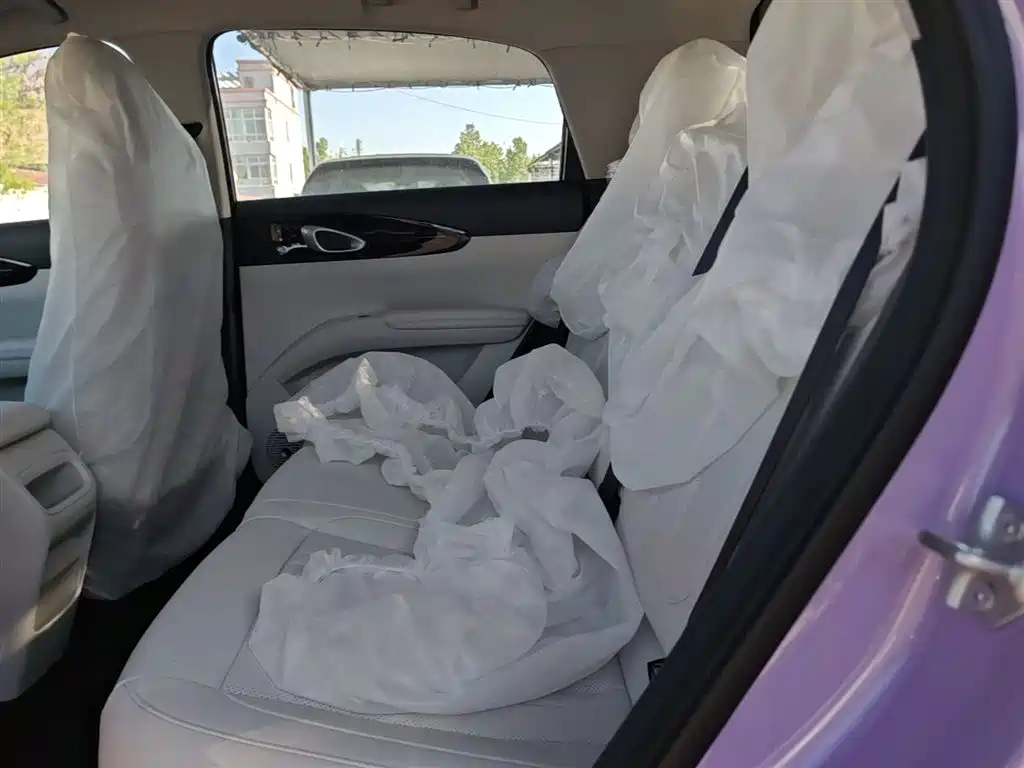 Geely Galaxy Starry Wish 2026 Edition 310km Youth Version фото 17