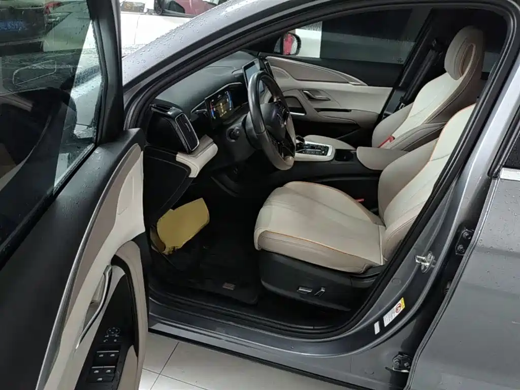 BYD Song Pro New Energy 2024 Glory Edition DM-i 71KM Pilot фото 16