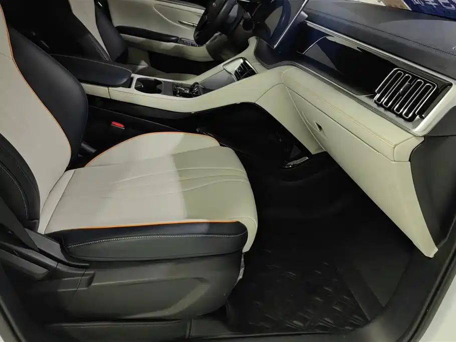 BYD Song PLUS PHEV 2023 Champion Edition DM-i 110KM Flagship фото 8