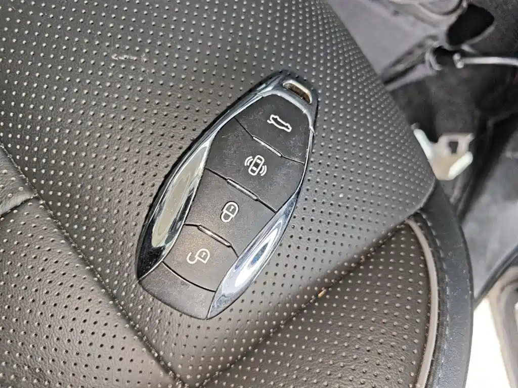 Hongqi HS7 PHEV 2024 2024 2.0T PHEV AWD Qichang Edition 7-seater