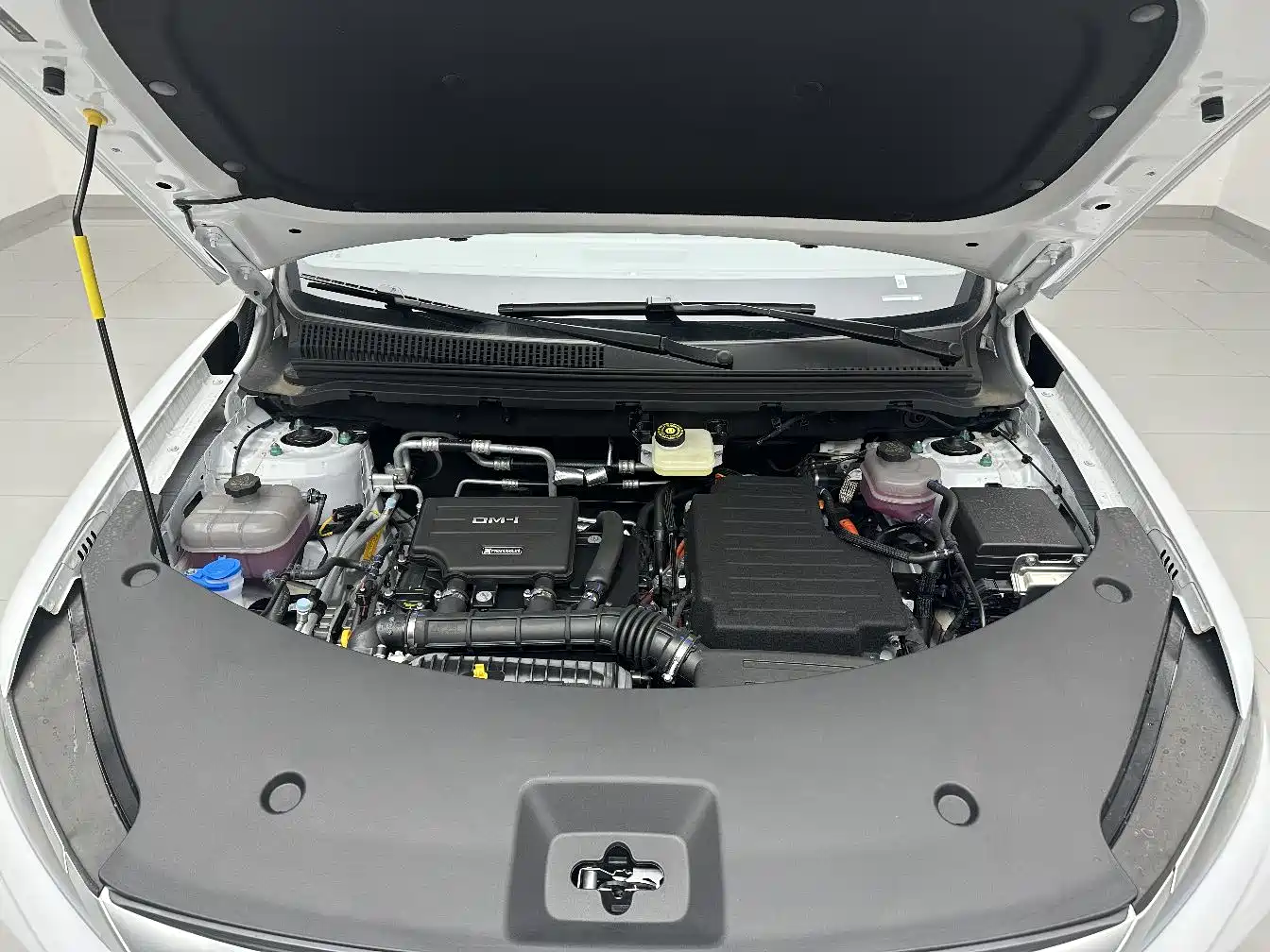 BYD SONGJIANG NEW ENERGY