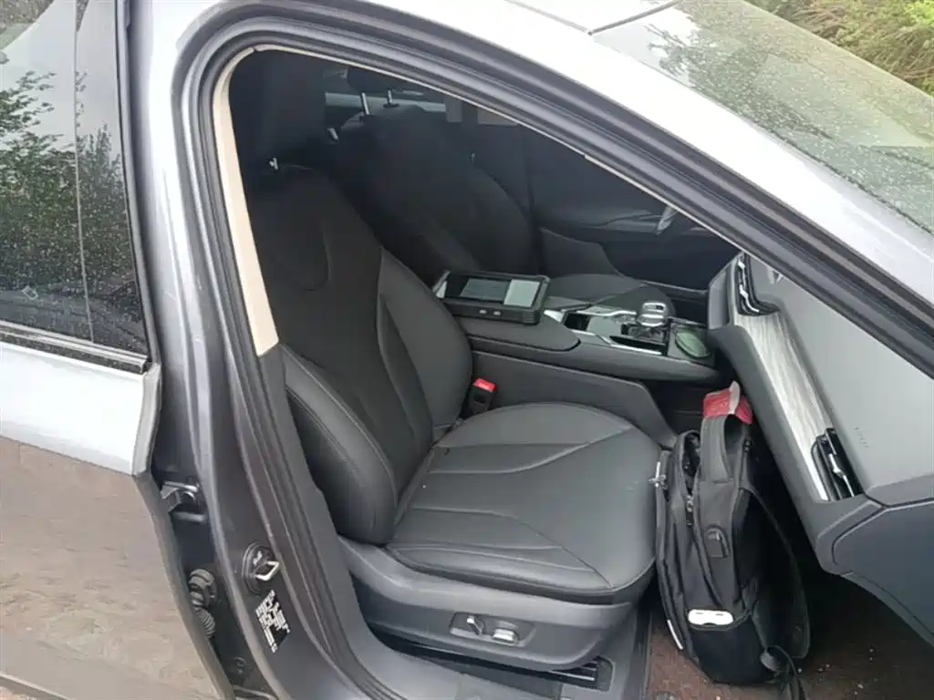 Hongqi E-QM5 2024 Model 610km PLUS фото 25
