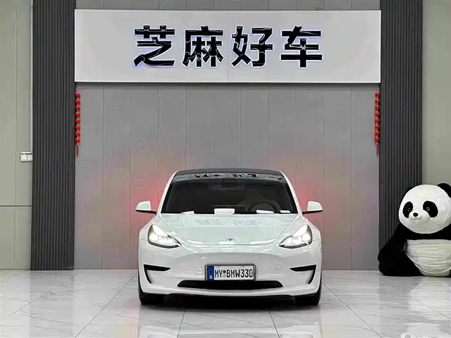 Tesla Model 3 2021 Standard Range Rear-Wheel Drive Upgrade 3D6 — фото 2