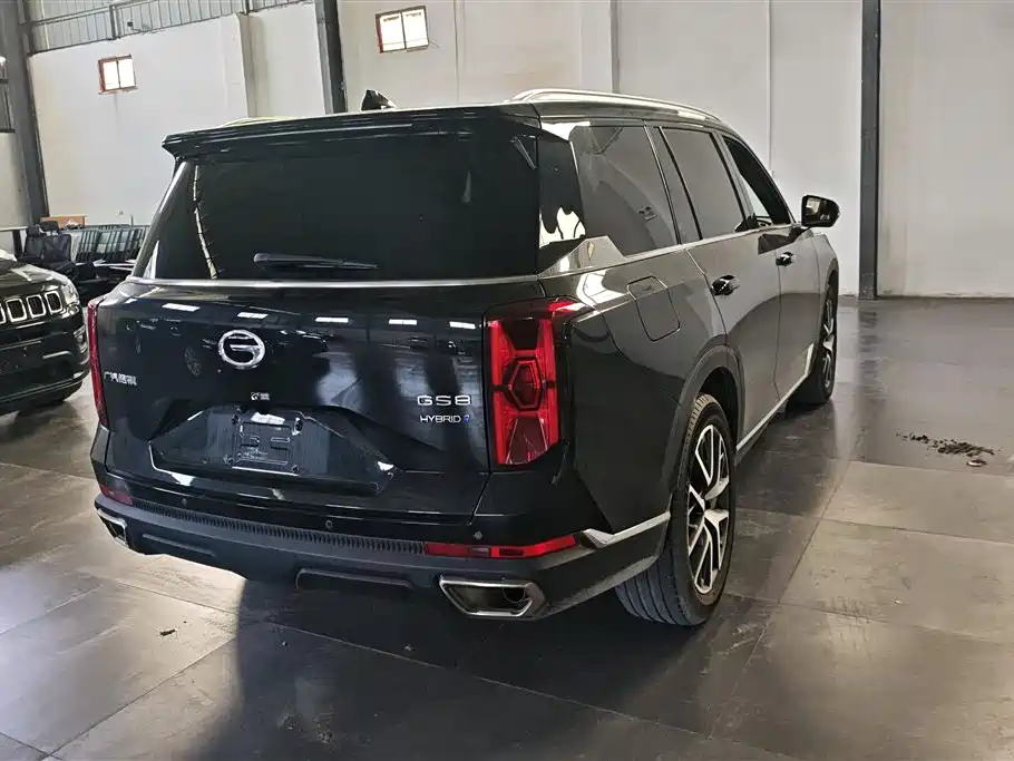GAC Trumpchi Trumpchi GS8 2022 Dual Engine Series 2.0TM 2WD Premium Edition (7-Seater) фото 3