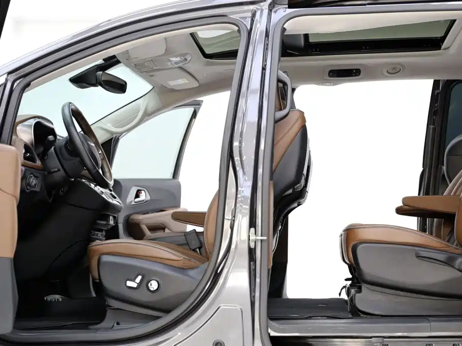 Chrysler Grand Voyager (Import) 2019 2017 3.6L Premium Edition