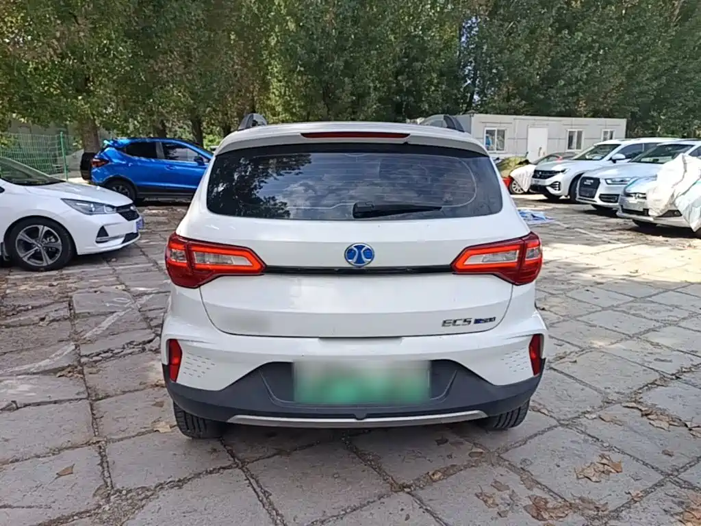 BAIC New Energy EC5 2020 2019 Fresh Air Edition