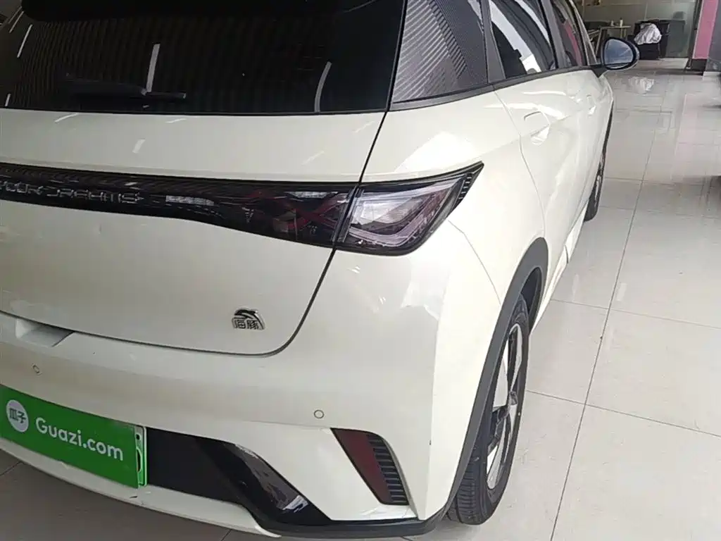 BYD Dolphin 2023 420km Fashion Edition фото 8
