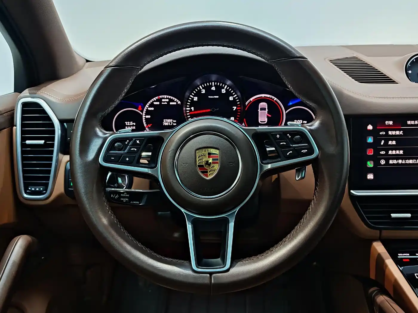 Porsche Cayenne 2023 Cayenne 3.0T Platinum Edition фото 10