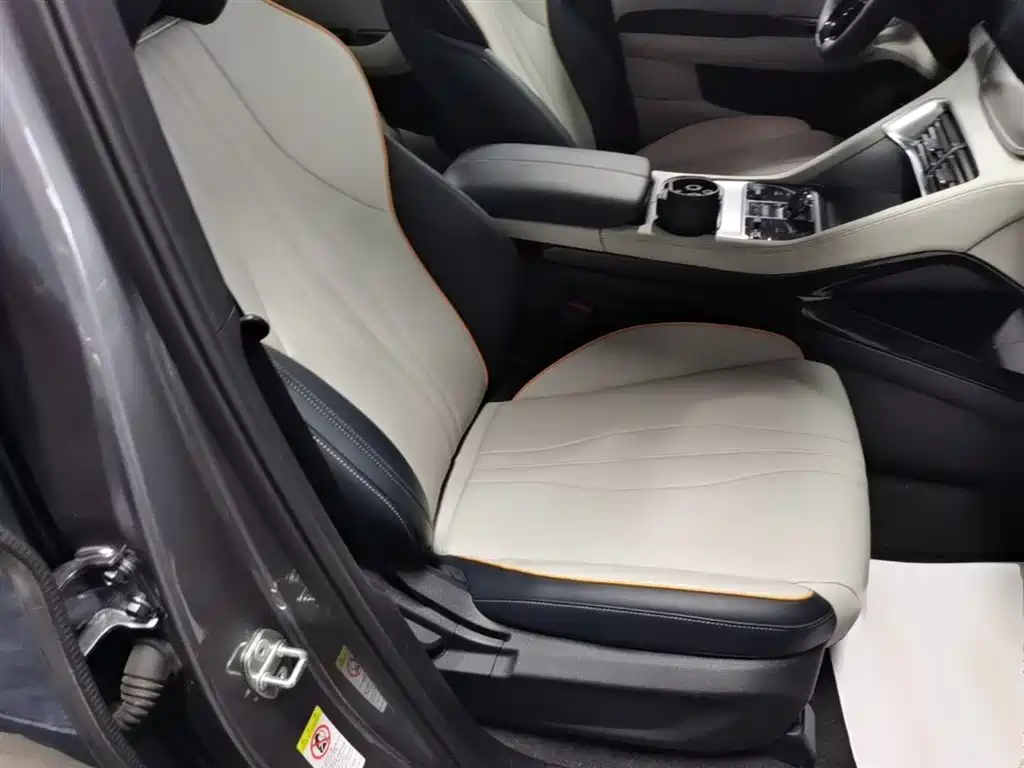 BYD Song PLUS PHEV 2023 Champion Edition DM-i 110KM Flagship фото 25