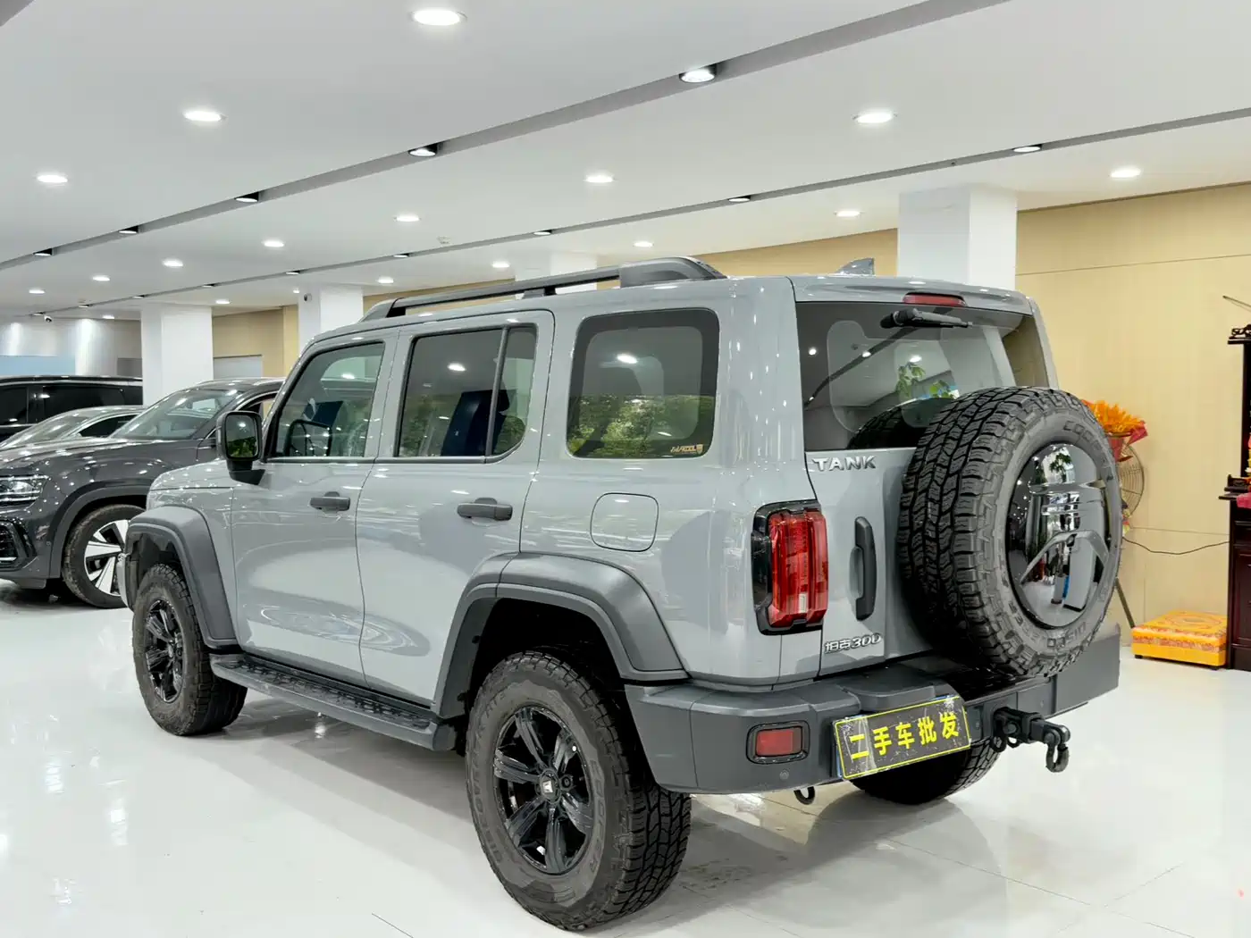 Tank 300 2023 Off-Road Edition 2.0T Conqueror фото 9