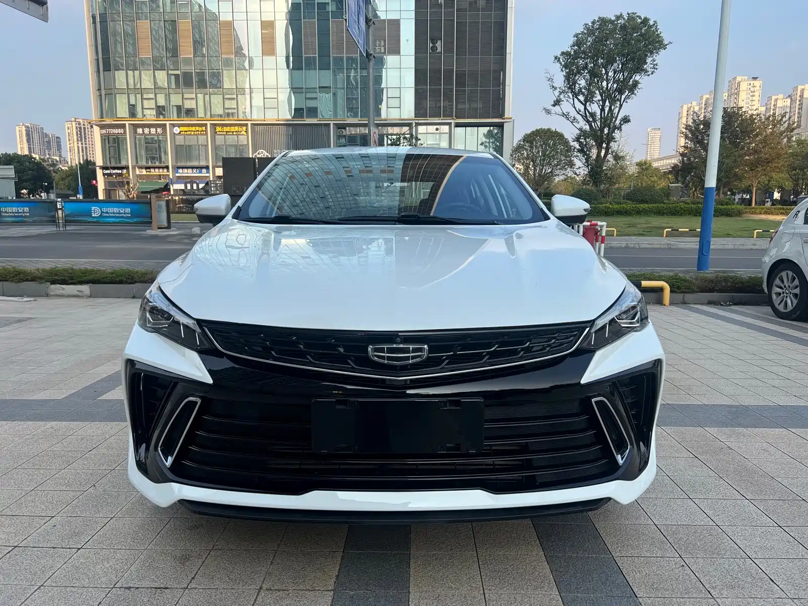 Фото 2 - Geely Binrui