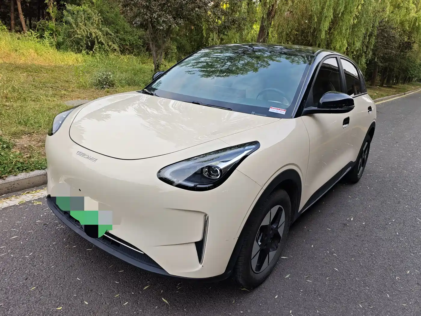 Geely Galaxy Starry Wish 2025 310km Dream Edition