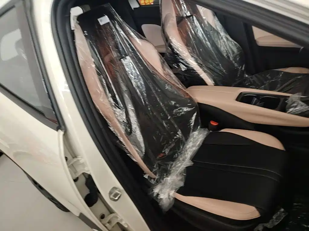BYD Seagull 2026 2025 Smart Drive Edition 305km Vitality Version
