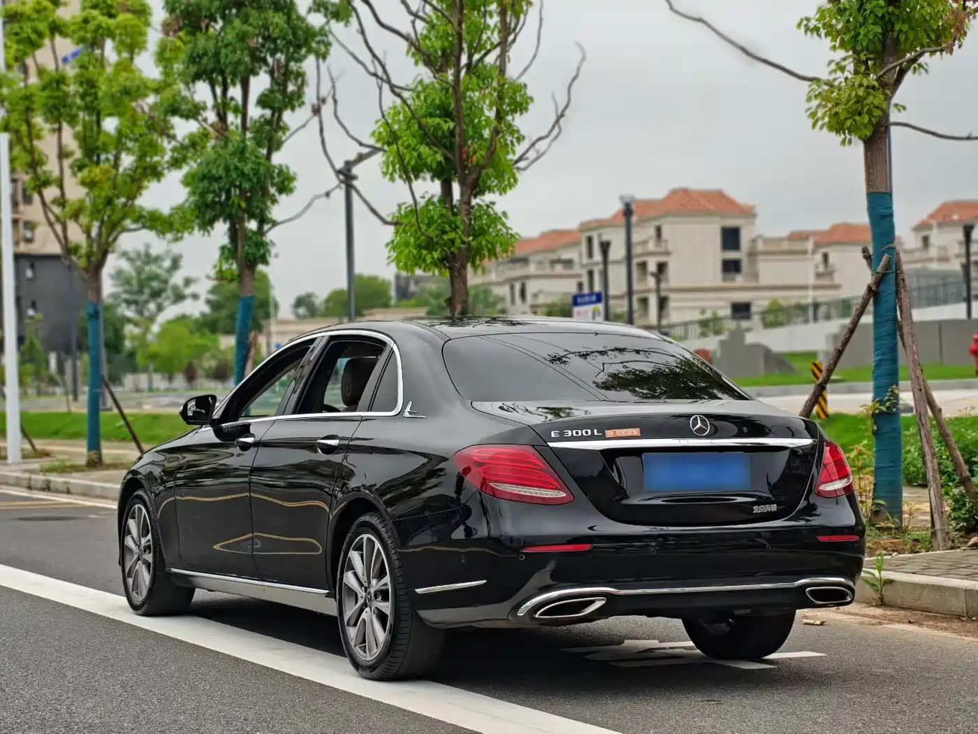 Mercedes-Benz E-Class 2019 Facelift E 300 L Fashion фото 4