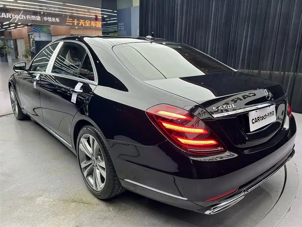 Mercedes-Benz S-Class 2020 S 450 L 4MATIC Collector's Version фото 12
