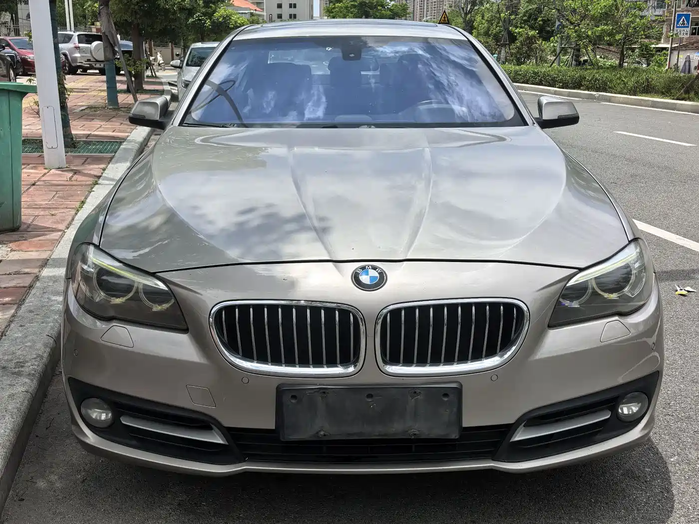 BMW 5 Series 2014 520Li Elegance фото 2