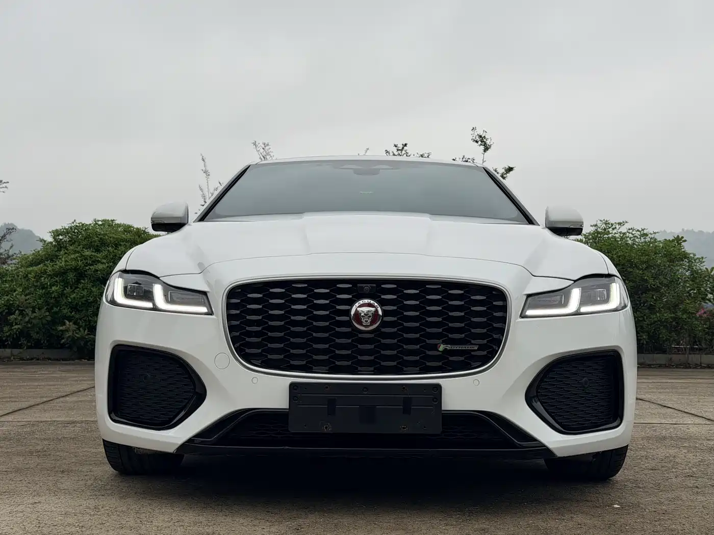 Jaguar XFL 2022 XFL 2.0T P250 2WD Elite Sport