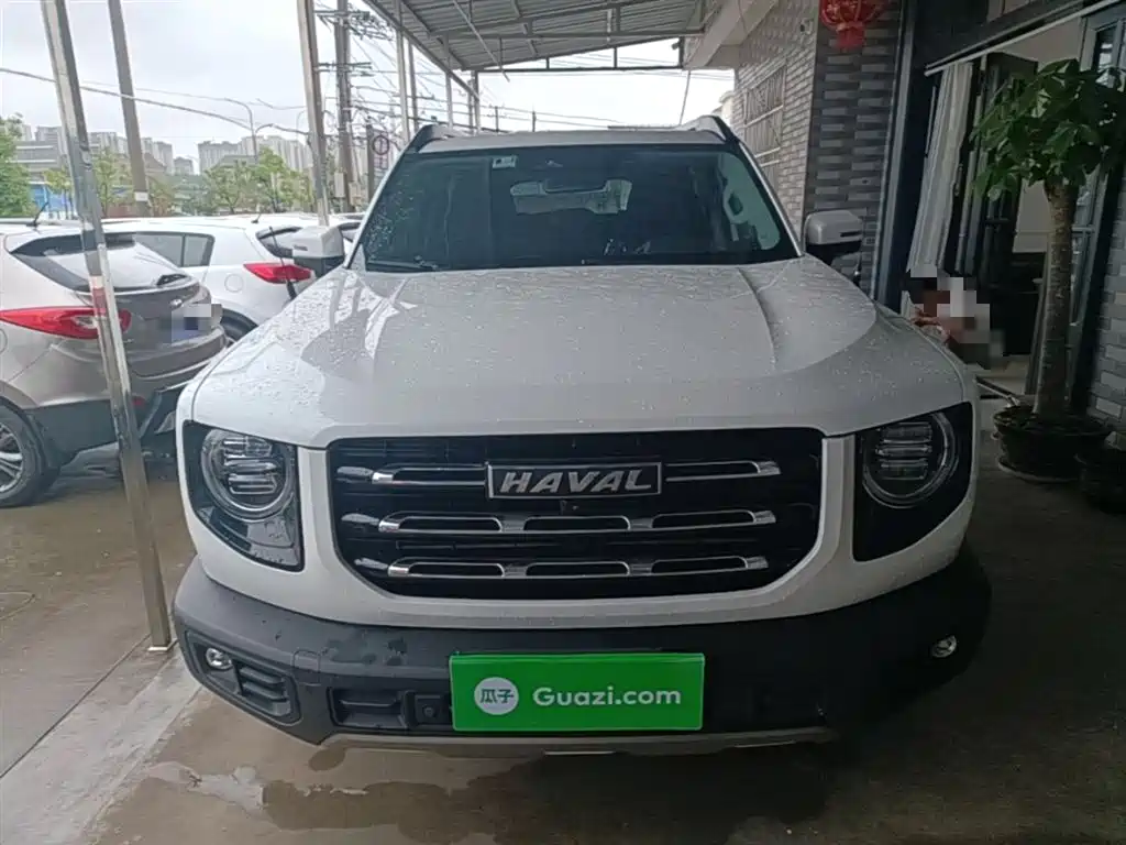 Haval Big Dog 2021 1.5T DCT 2WD Border Collie Edition фото 3