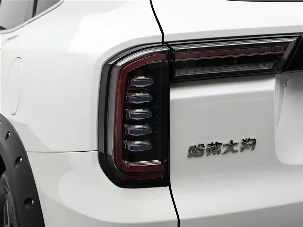 Haval Big Dog 2022 1.5T DCT 2WD Malinois Hunting Edition фото 7