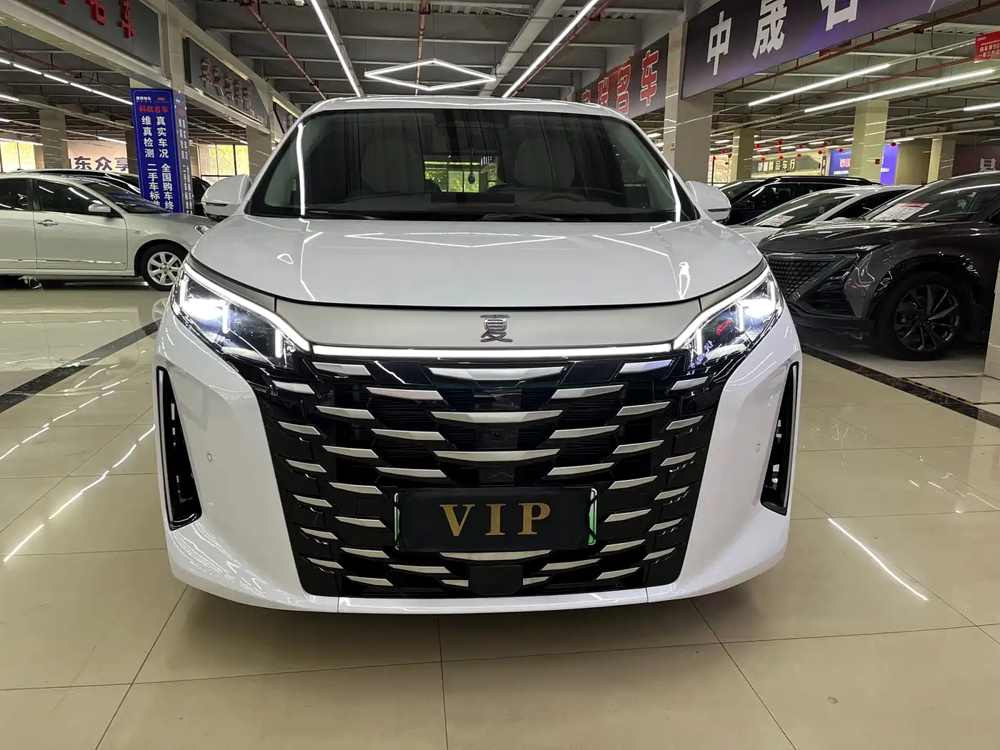 2026 BYD Xia