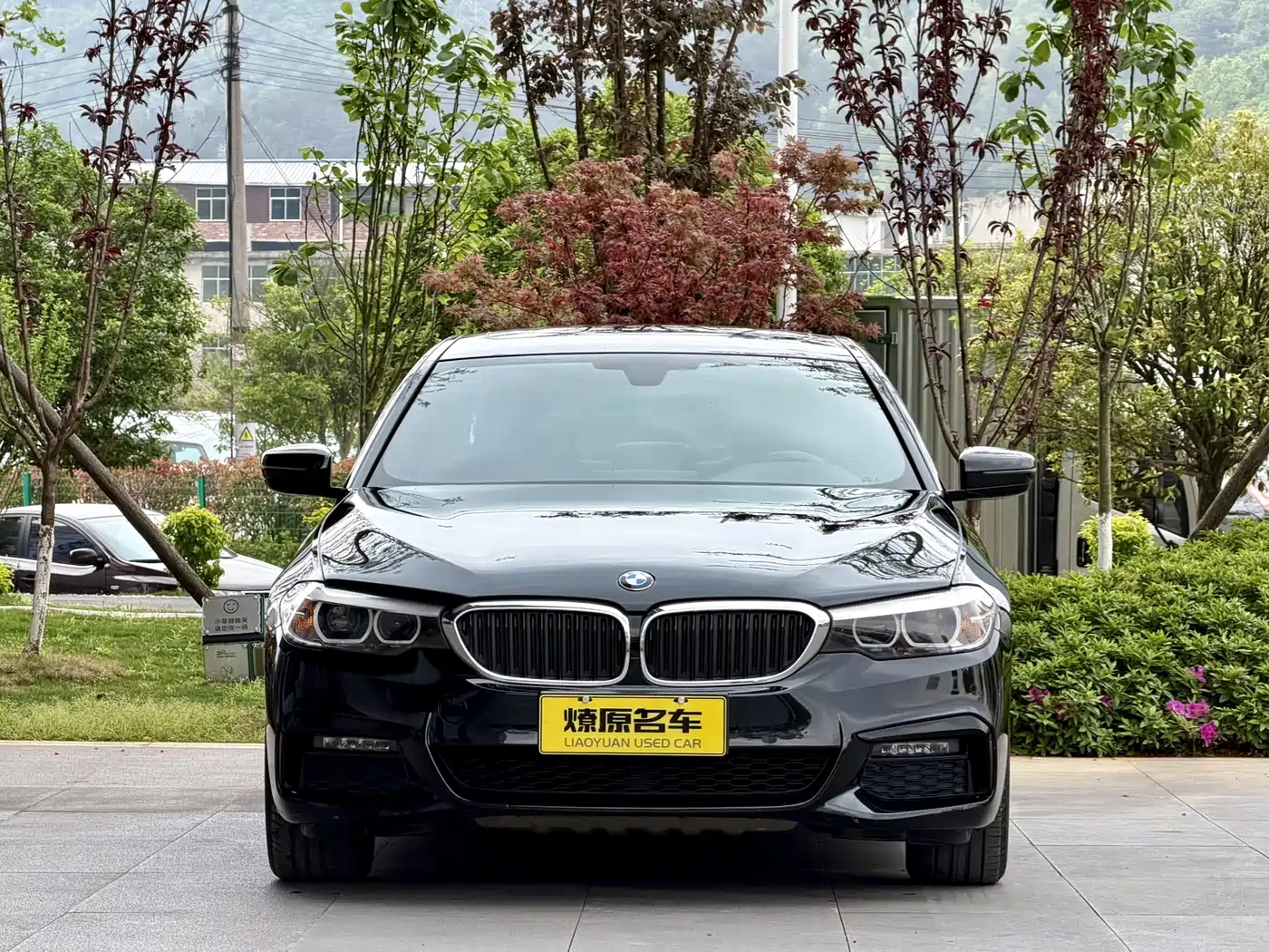 BMW 5 Series 2019 525Li M Sport Package фото 2