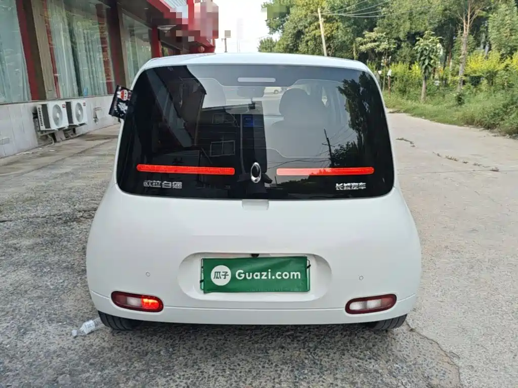 Ora White Cat 2021 2020 401km Flagship Model