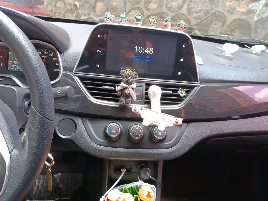 Photo 9 - Baojun 310