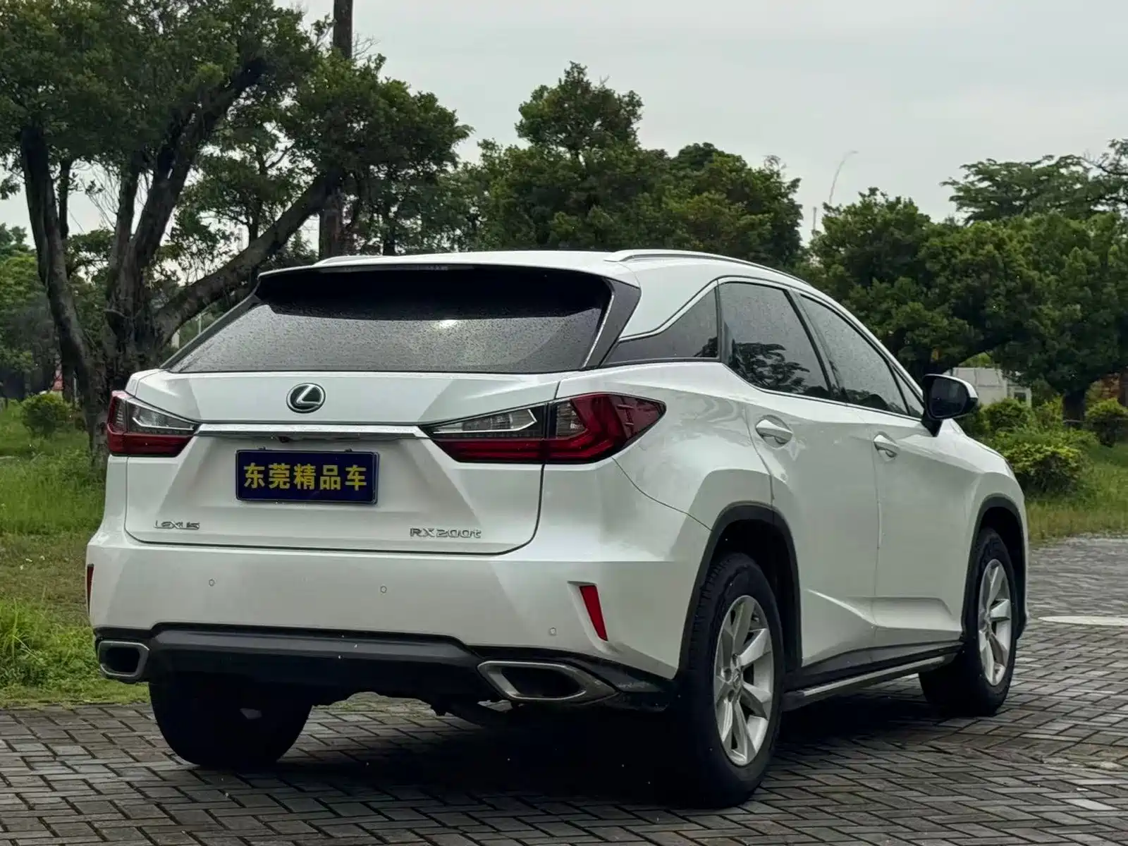 Photo 14 - Lexus RX