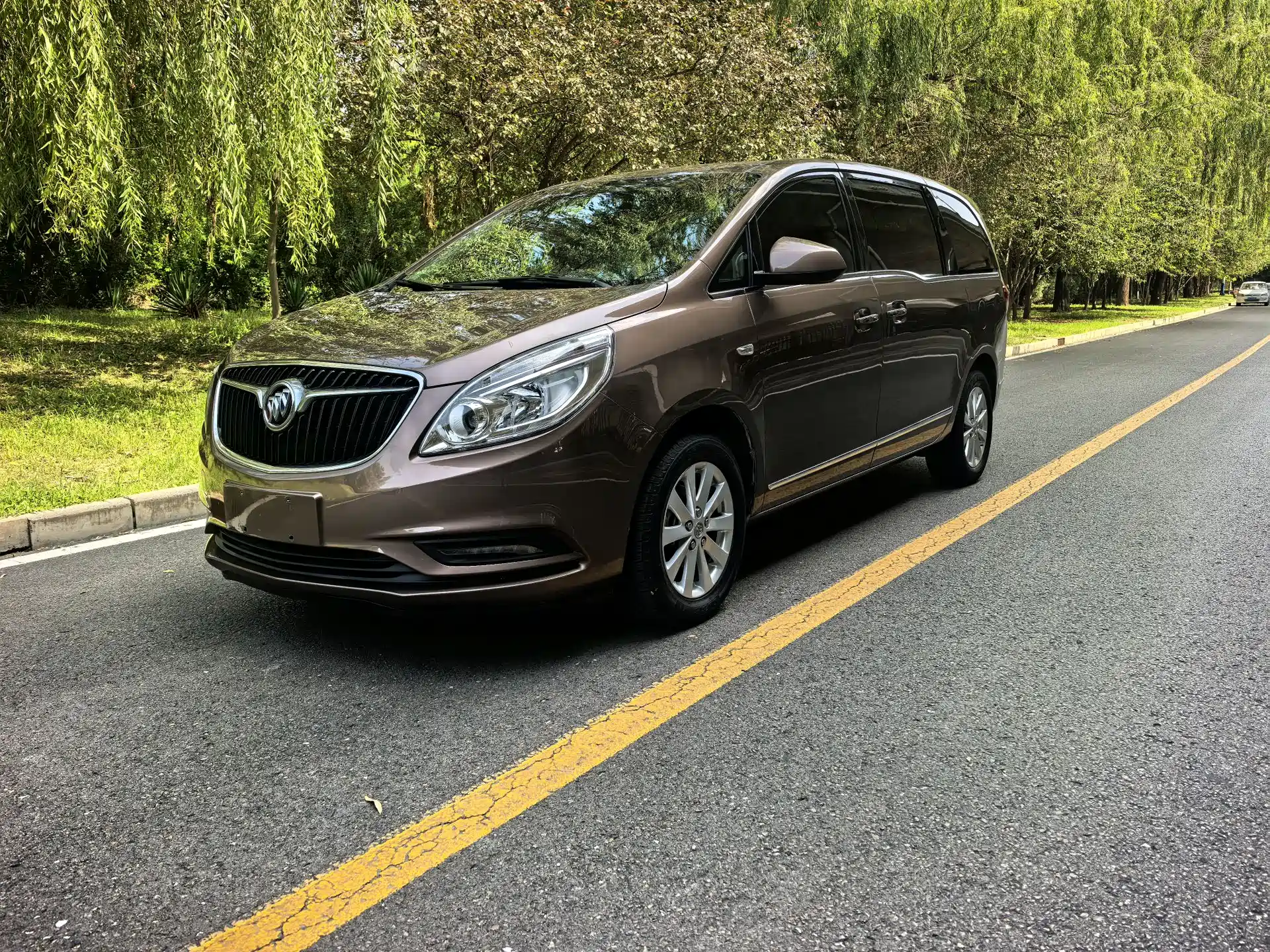 Фото 1 - Buick GL8