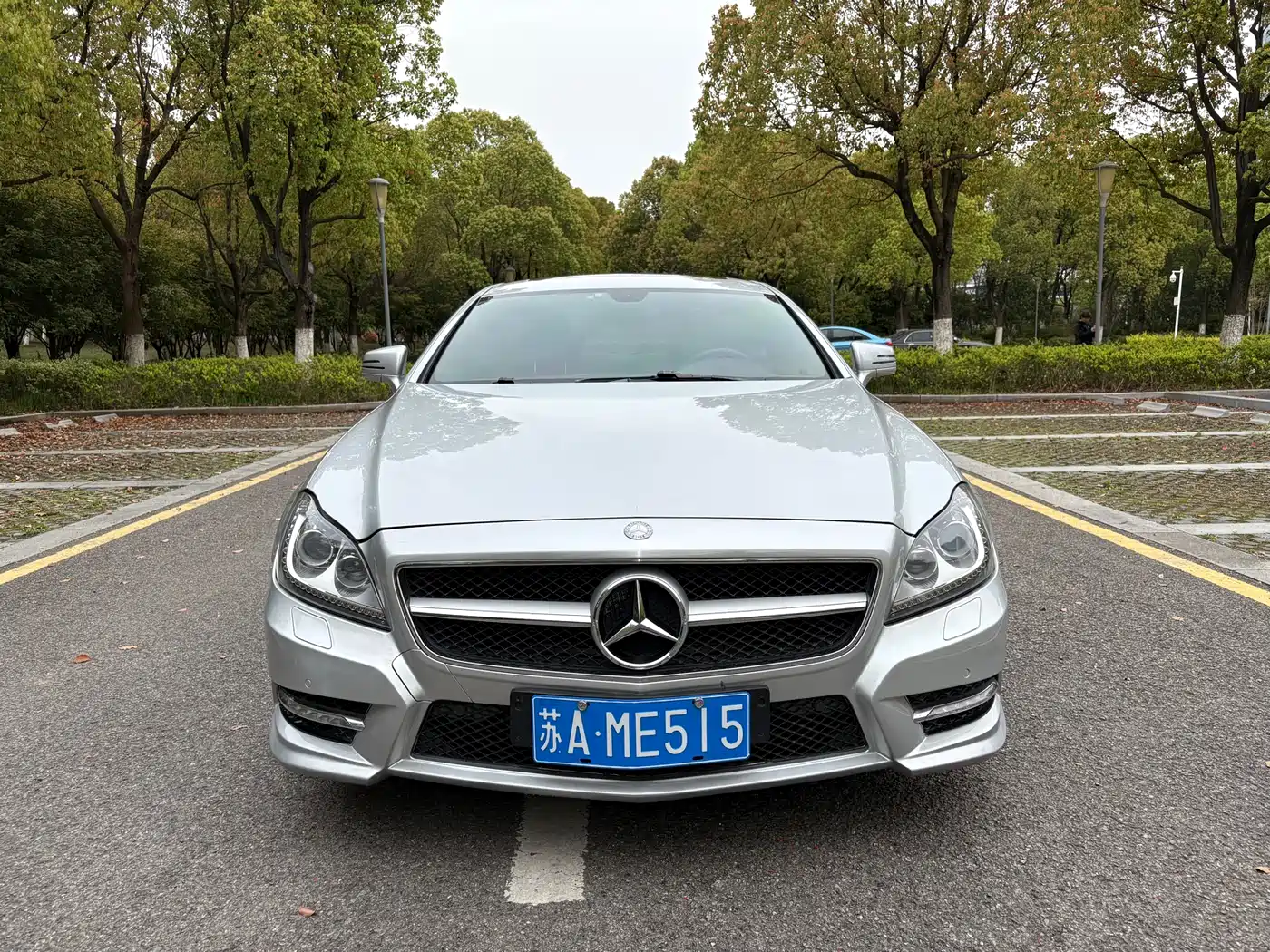 Mercedes-Benz CLS 2012 CLS 300 CGI фото 2