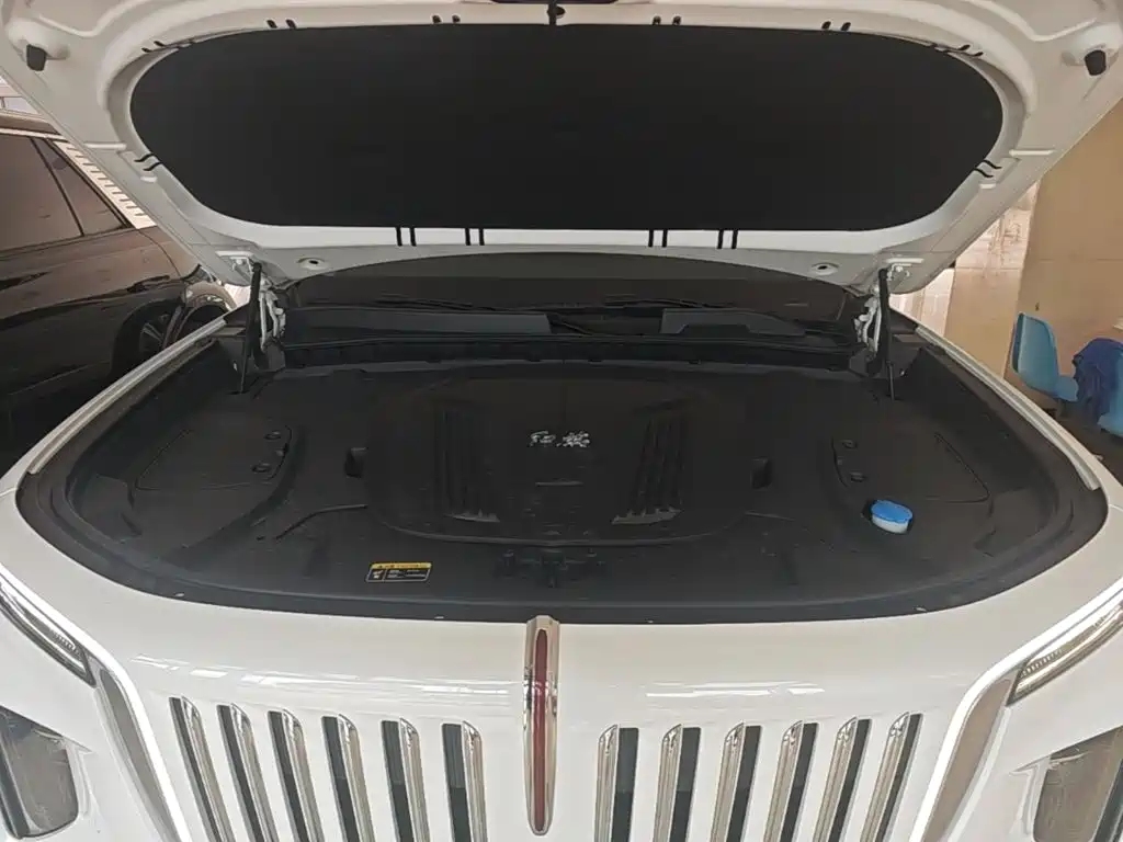 Hongqi E-HS9 2023 2022 690km Qi Xiang Edition (6-seater)