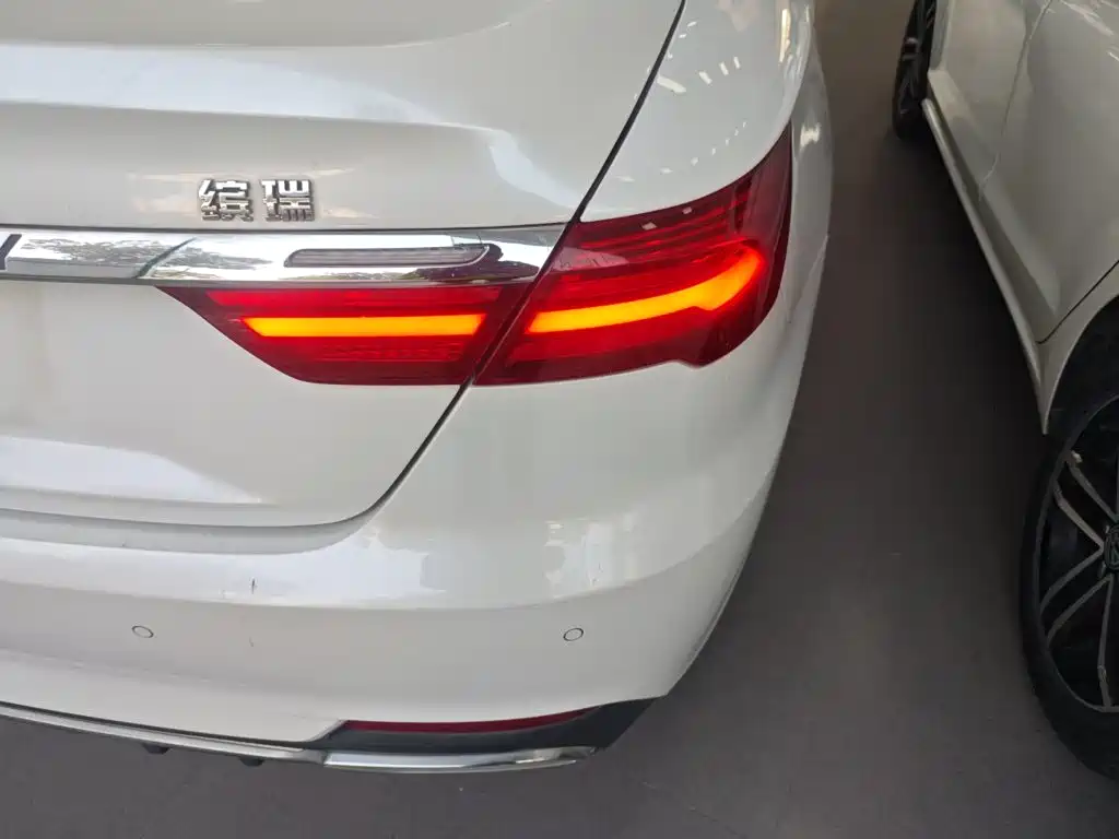 Фото 24 - Geely Binrui