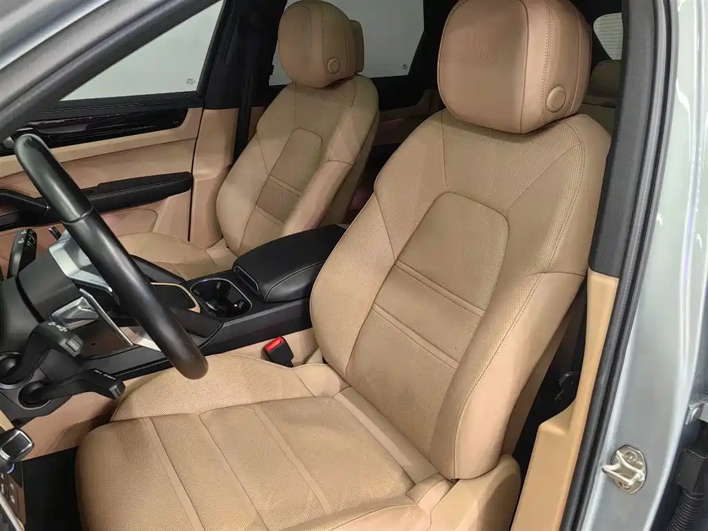 Porsche Cayenne 2022 Cayenne 3.0T Platinum Edition фото 11