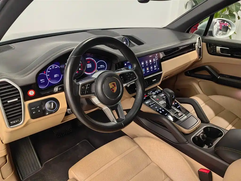 Porsche Cayenne 2022 Cayenne 3.0T Platinum Edition фото 8