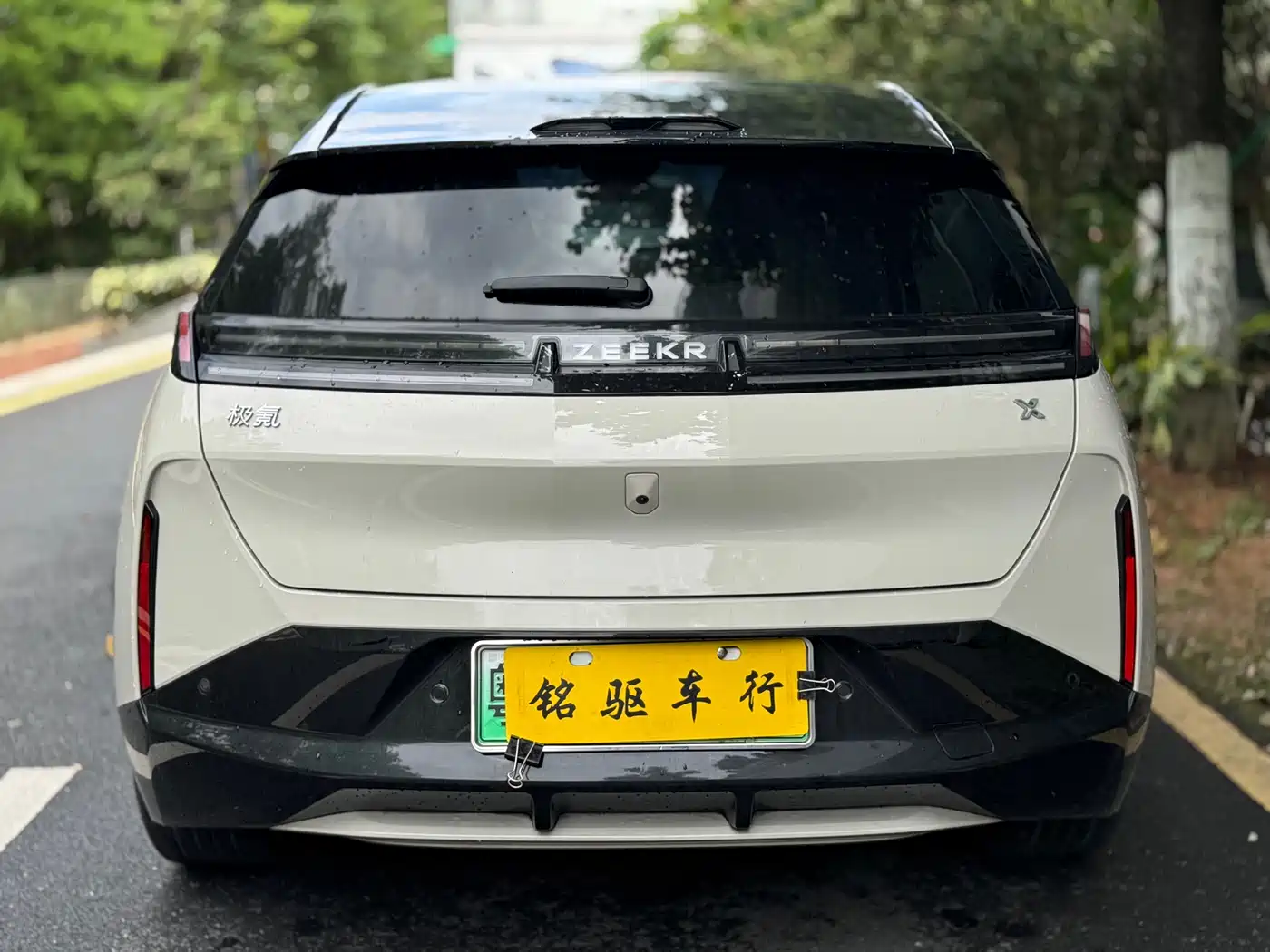ZEEKR X 2023 2023 RWD YOU Edition 4-seater