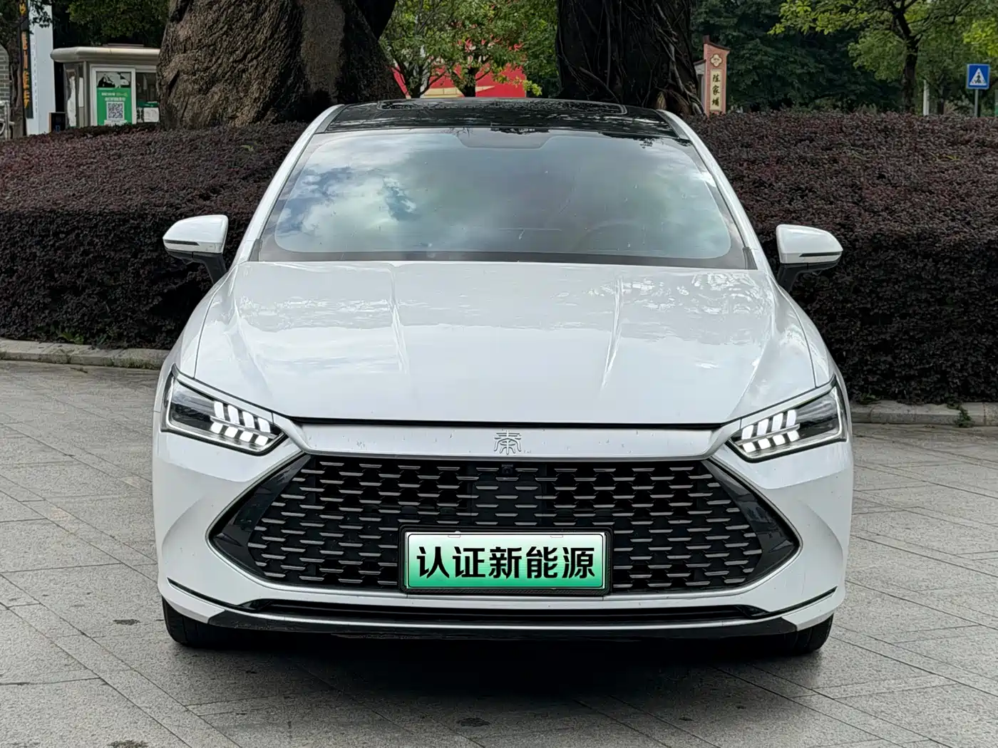 BYD Qin PLUS 2023 Champion Edition DM-i 120KM Leading Type фото 2