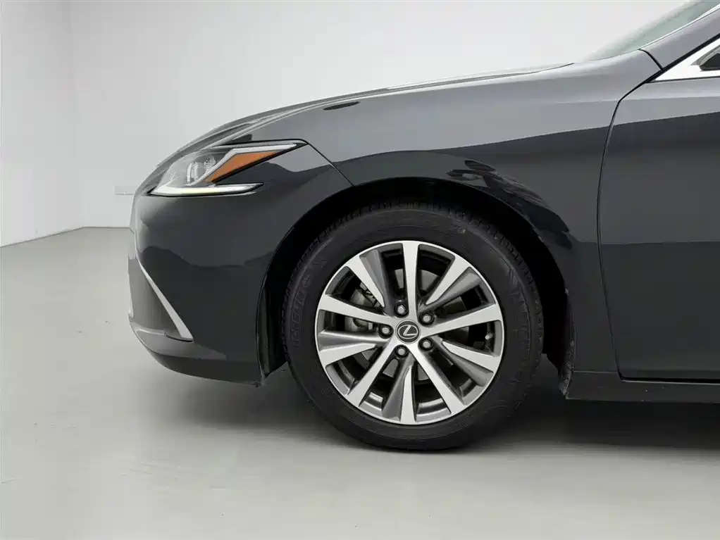 Lexus ES 2018 300h Excellence Edition China V фото 16