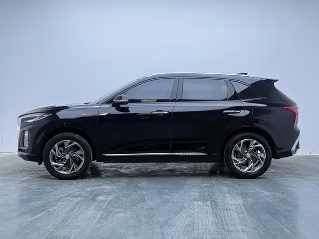 صورة 10 - Hongqi HS3 PHEV
