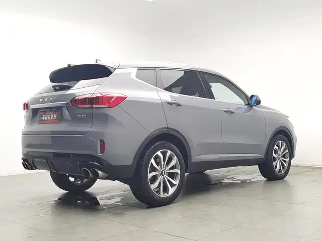 WEY VV6 2018 2.0T 2WD Super Luxury China V — фото 2