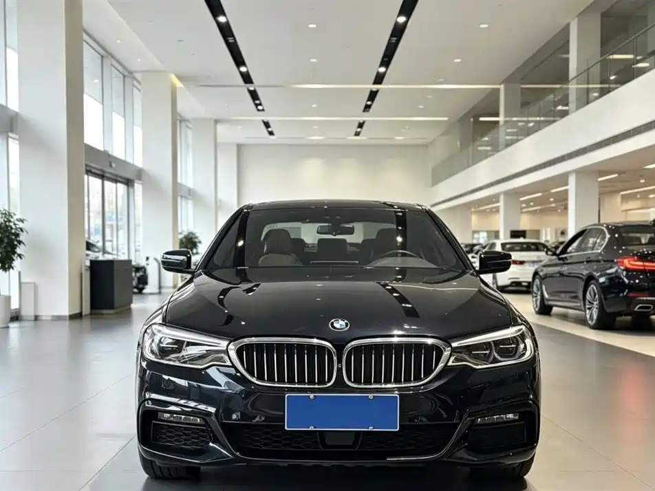 BMW 5 Series 2019 530Li Premium M Sport Package фото 2