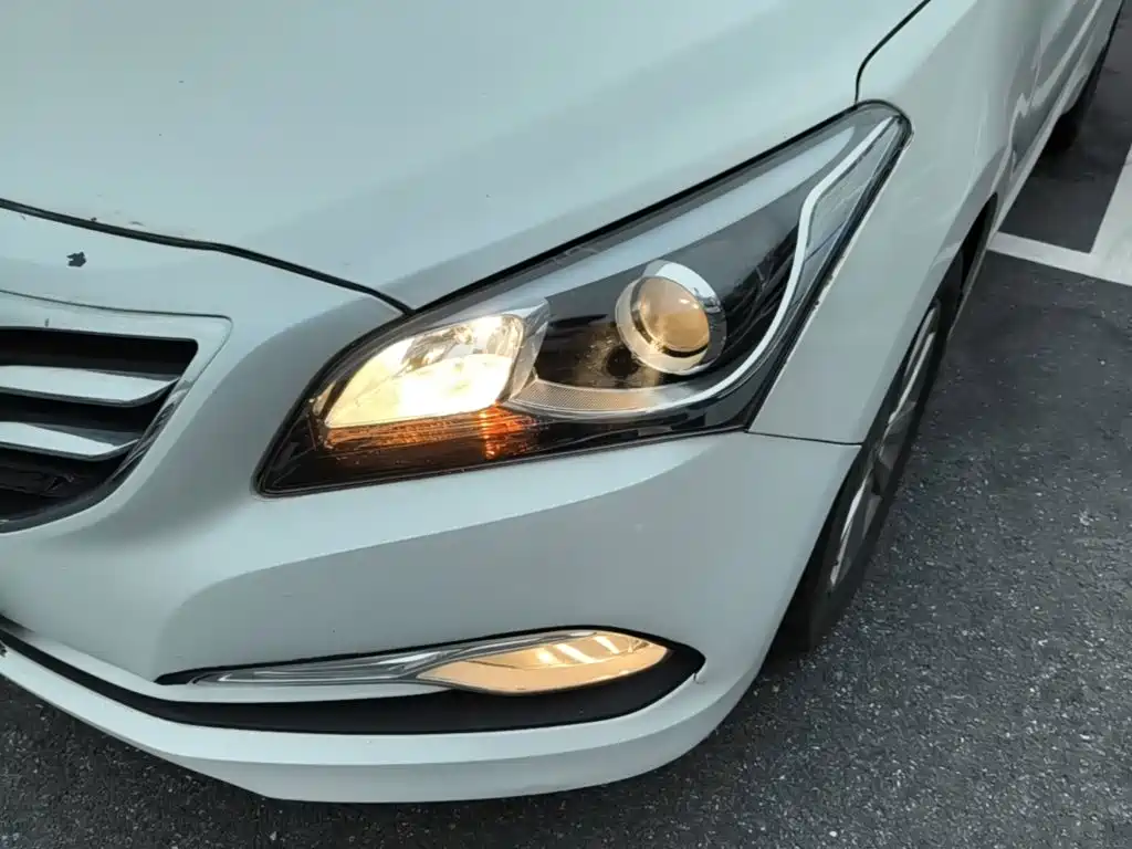 Фото 24 - Hyundai Mistra